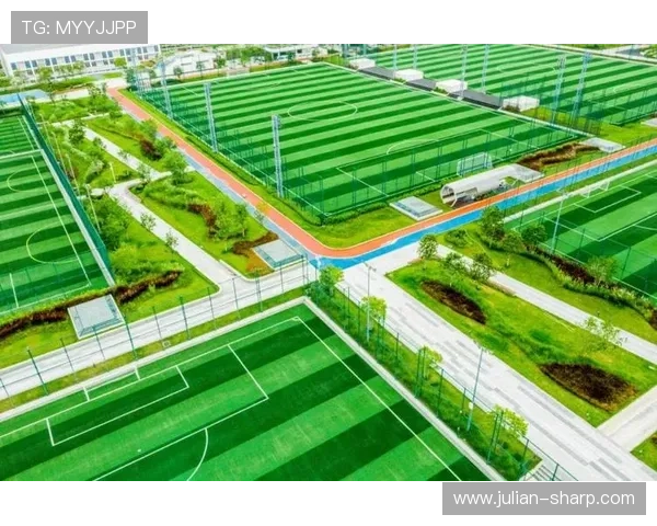 解析凯发体育app给体育迷带来的全新体验与乐趣